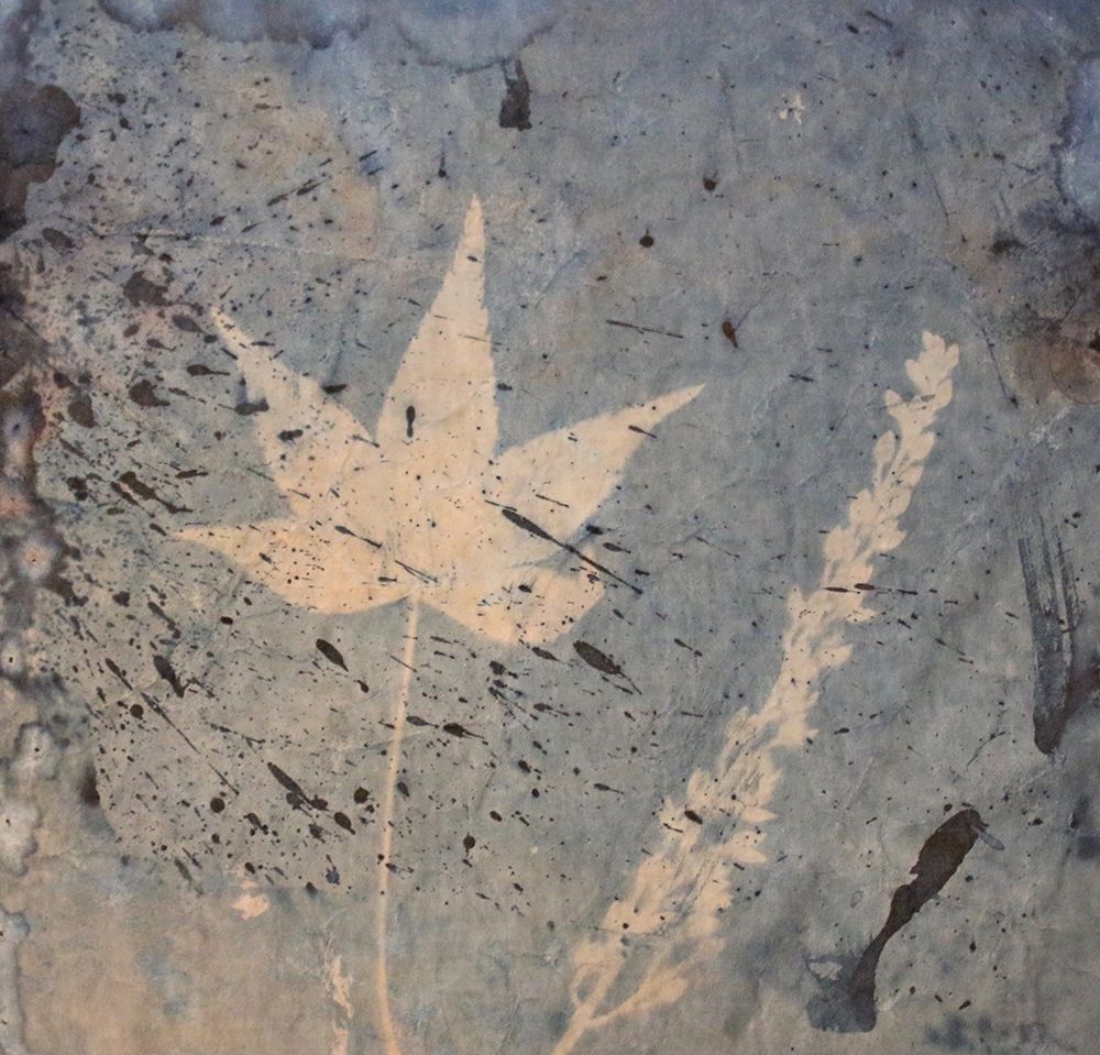 Leaf and Fern